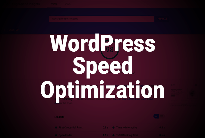 do wordpress speed optimization for google pagespeed insights and gtmetrix